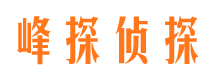 洪雅侦探公司